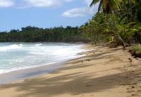 Beach other view of the Hotel IGUANA LAS TERRENAS - Las Terrenas - Dominican Republic